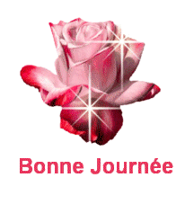 je vous souhaite une