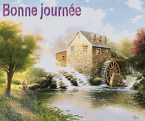 pour les amis